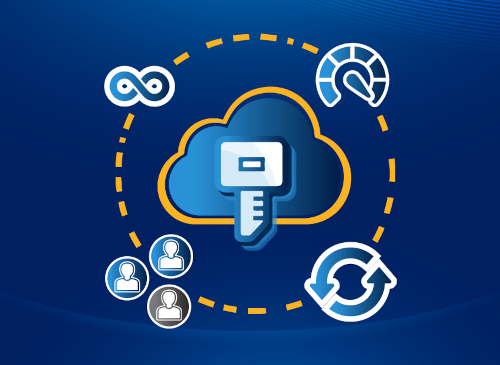 Software Licensing Services